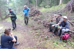 Bild-12
