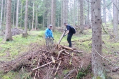 Bild-16