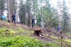 Bild-17