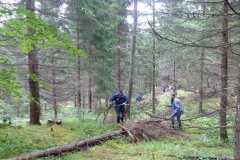 Bild-19