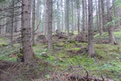 Bild-20