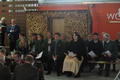 IMG_3042 (Medium)