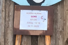 Leni-3