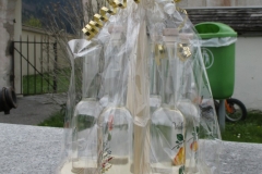 IMG_2462 (Medium)