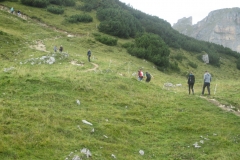 IMG_2895 (Medium)