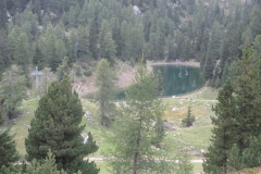 IMG_2913 (Medium)